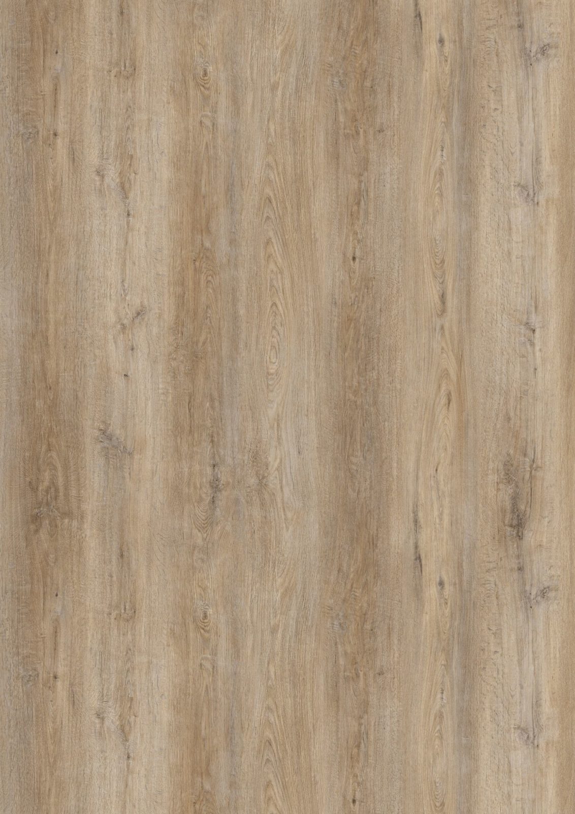 Maxima Vloer en Raam Totaal